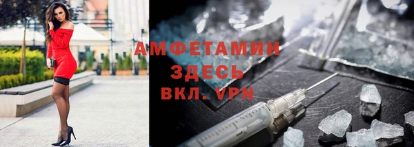 spice Инта