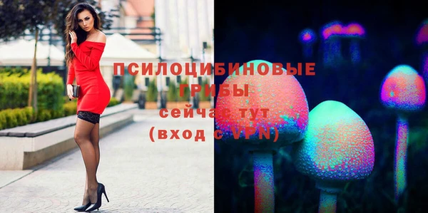ешки Балахна