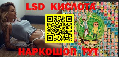 молекула духа Кингисепп