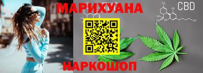молекула духа Кингисепп