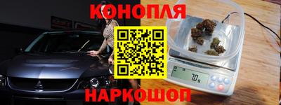 молекула духа Кингисепп
