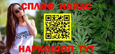 молекула духа Кингисепп