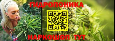 молекула духа Кингисепп