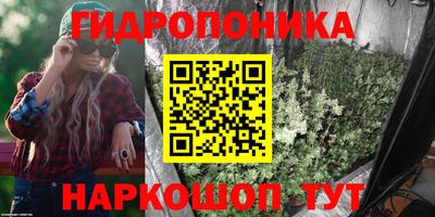 молекула духа Кингисепп