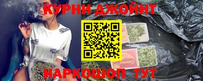 молекула духа Кингисепп