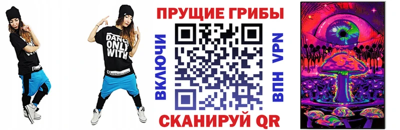 Псилоцибиновые грибы мицелий купить наркоту Каспийск