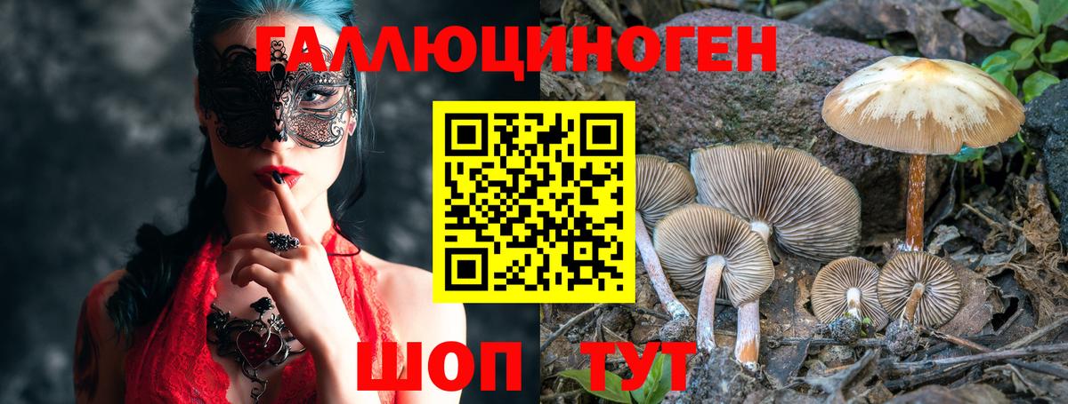 Галлюциногенные грибы Psilocybine cubensis Каспийск